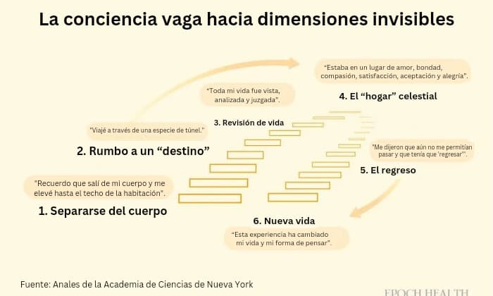 Una guía médica de 2022 elaborada por el Dr. Sam Parnia y un equipo de expertos médicos resumió que las ECM tienen patrones sorprendentemente similares. (Ilustración de The Epoch Times)