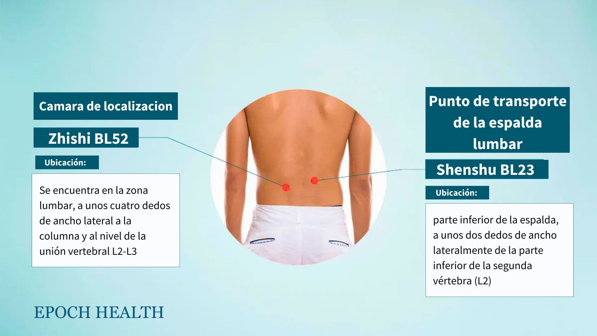 Ubicación de los puntos de acupuntura Zhishi y Shenshu. (The Epoch Times)