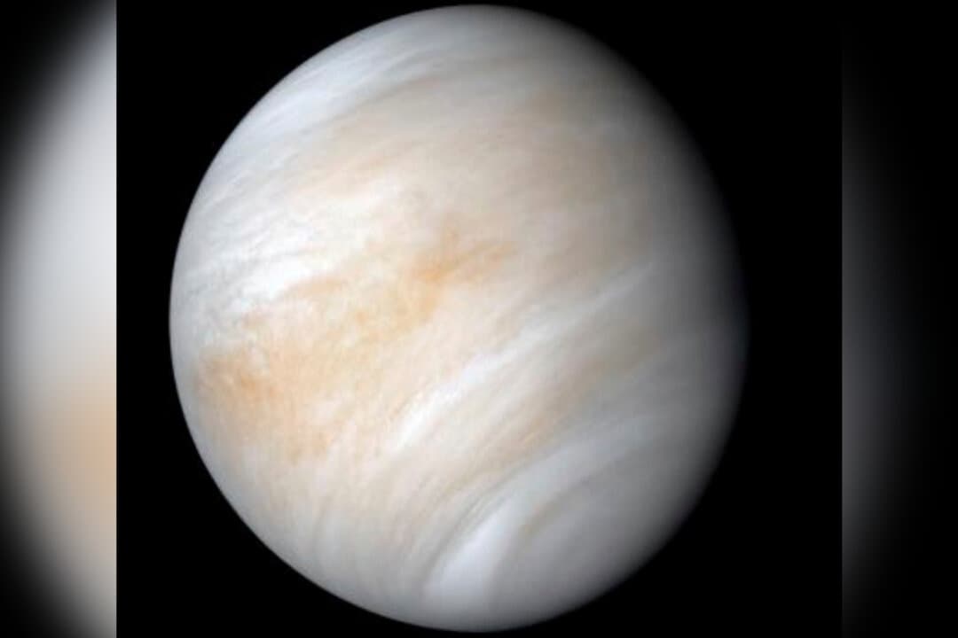Venus pasa entre la Tierra y el Sol este fin de semana, pero no intente buscarla