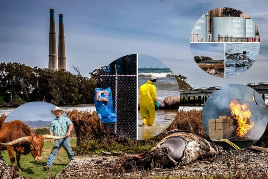 Incendio en batería de iones de litio plantea interrogante sobre futuro energético de California