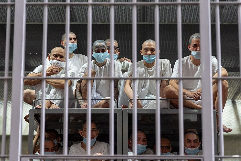 Lectores de Epoch Times apoyan esfuerzos de Trump para deportar a pandilleros venezolanos: encuesta