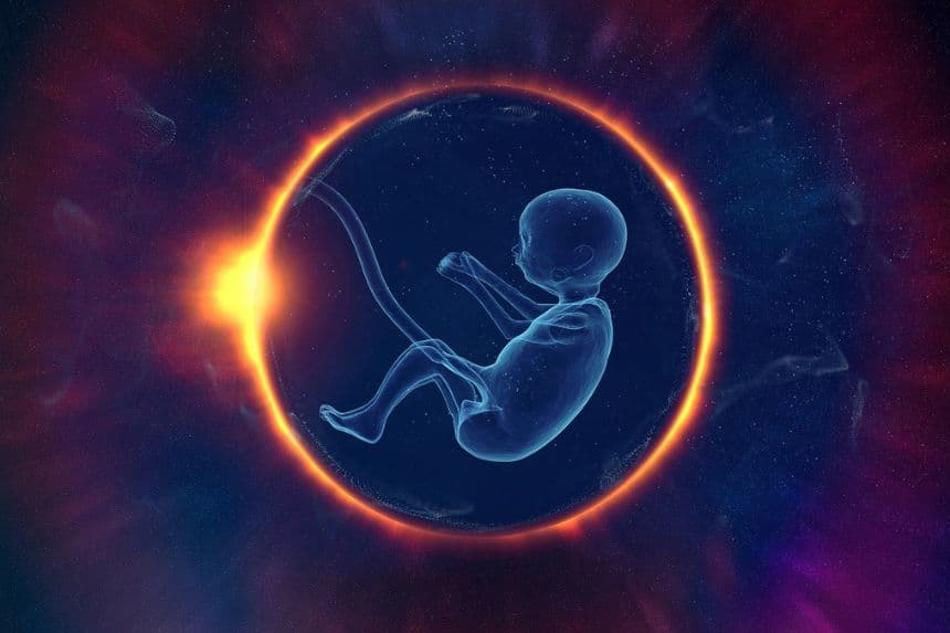 El cordón umbilical podría ser la respuesta a enfermedades futuras dice estudio