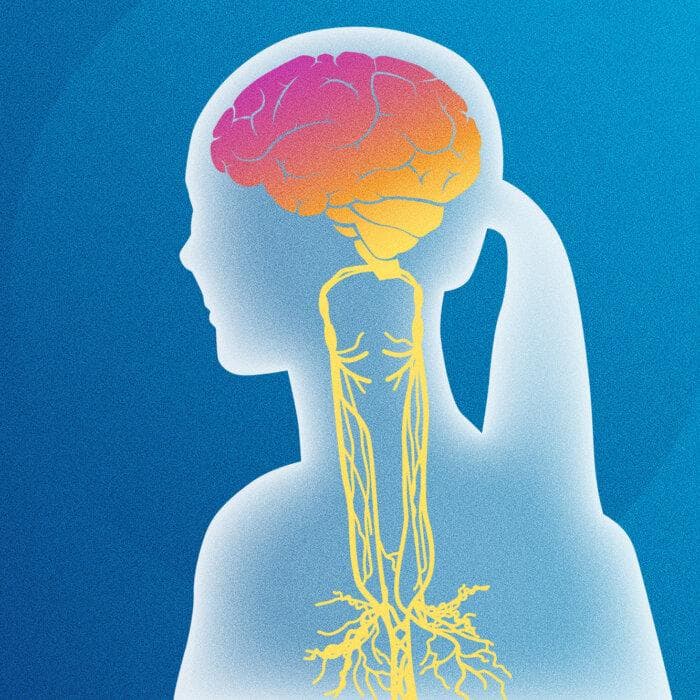 (Ilustración de The Epoch Times / Shutterstock)
