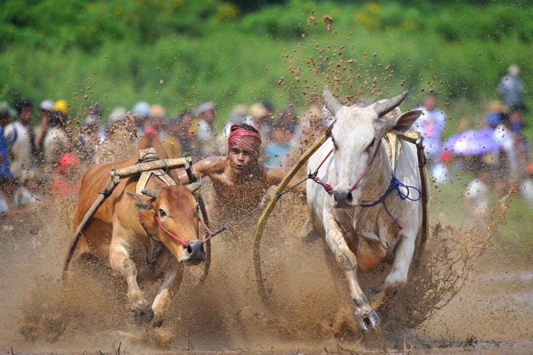NTD anuncia el Premio de Fotografía Deportiva