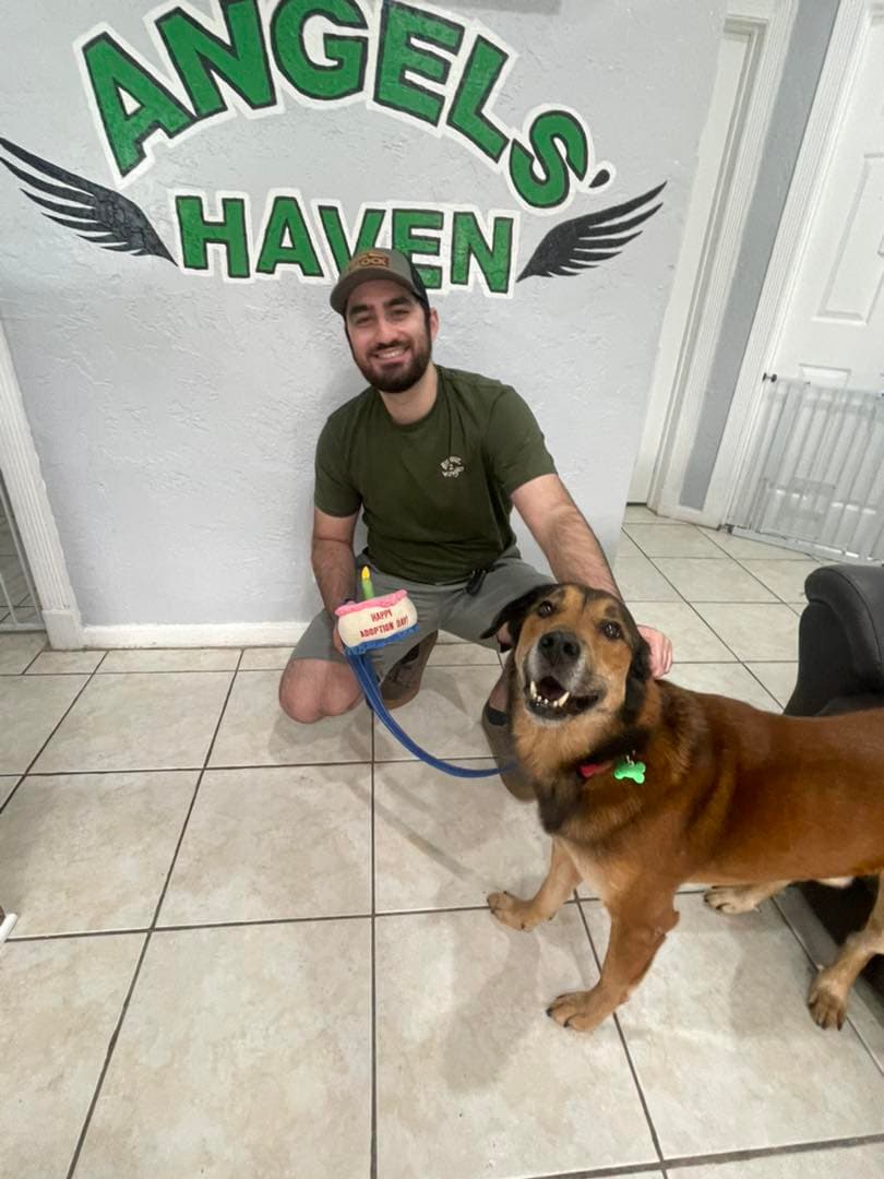 (Cortesía de Everglades Angels Dog Rescue)