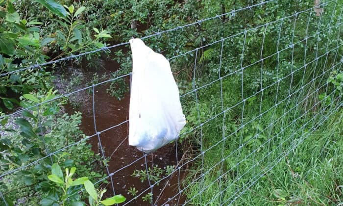 Rescatan cachorros recién nacidos cruelmente abandonados dentro de bolsa y colgados en una cerca