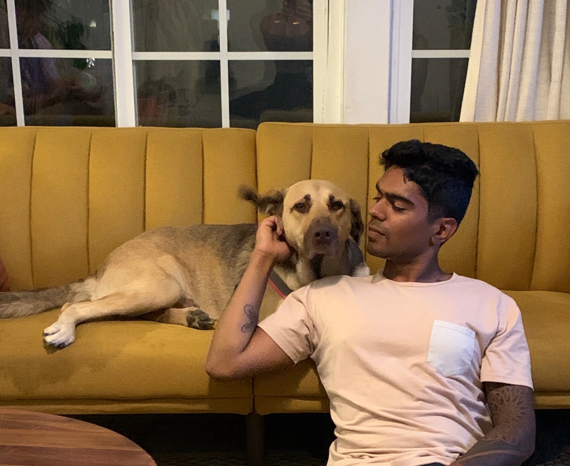 Chloe con Darvish en su casa. (Cortesía de The Animal Rescue Mission <a href="https://www.instagram.com/theanimalrescuemission/" target="_blank" rel="noopener">@theanimalrescuemission</a>)