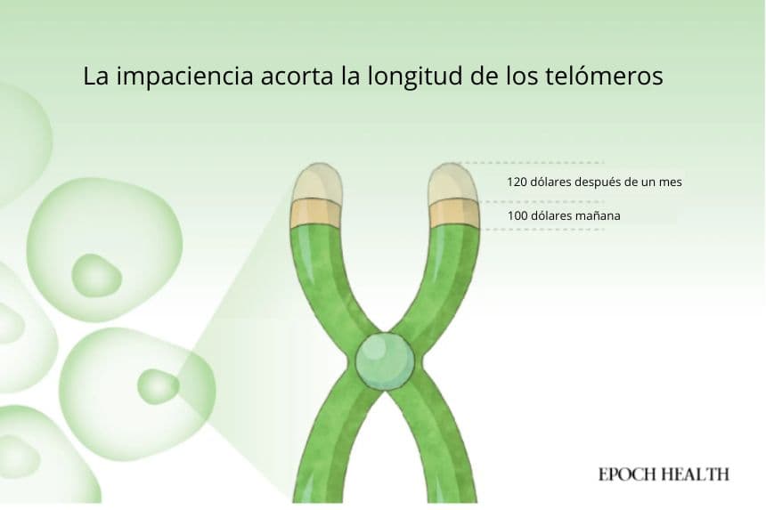 (Ilustración de The Epoch Times)