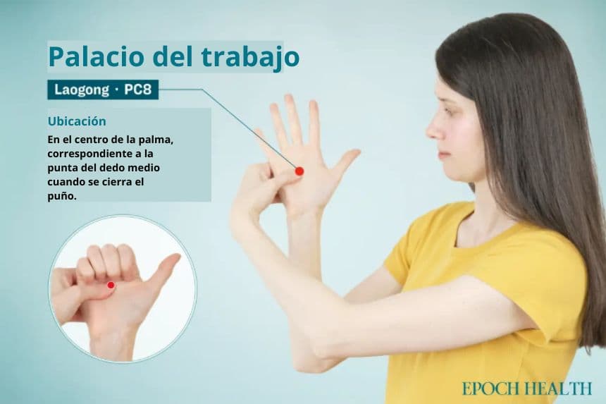 Ubicación del punto de acupuntura Laogong. (The Epoch Times)