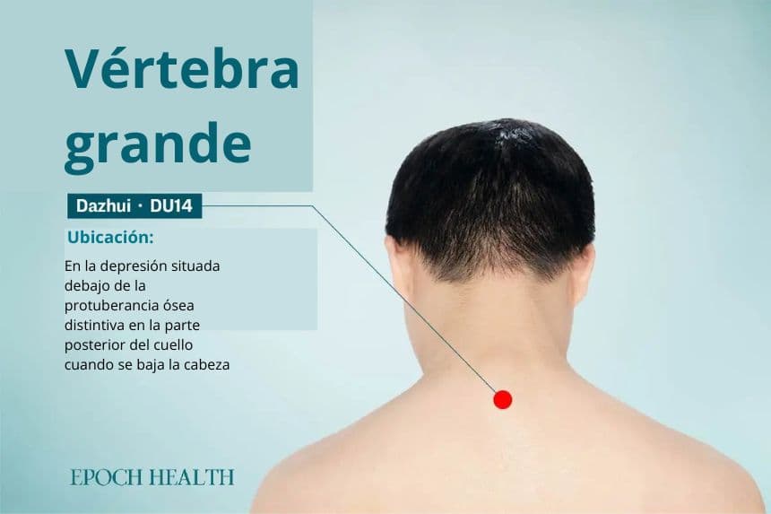 Ubicación del punto de acupuntura Dazhui. (The epoch Times)