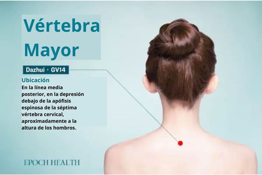 Punto de acupuntura de la vértebra mayor. (The Epoch Times)