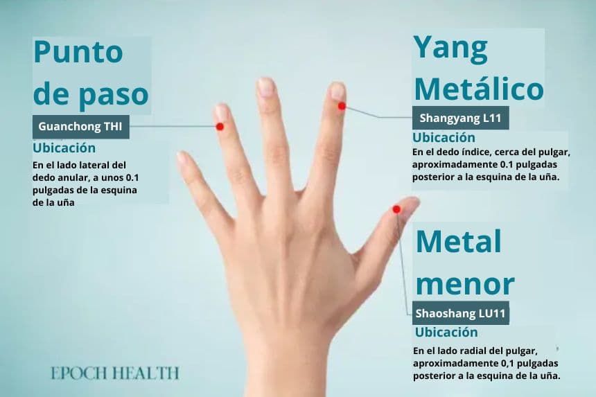 Los puntos de acupuntura en la mano, de izquierda a derecha, son el Punto de Paso, el Yang Metálico y el Metal menor. (The Epoch Times)