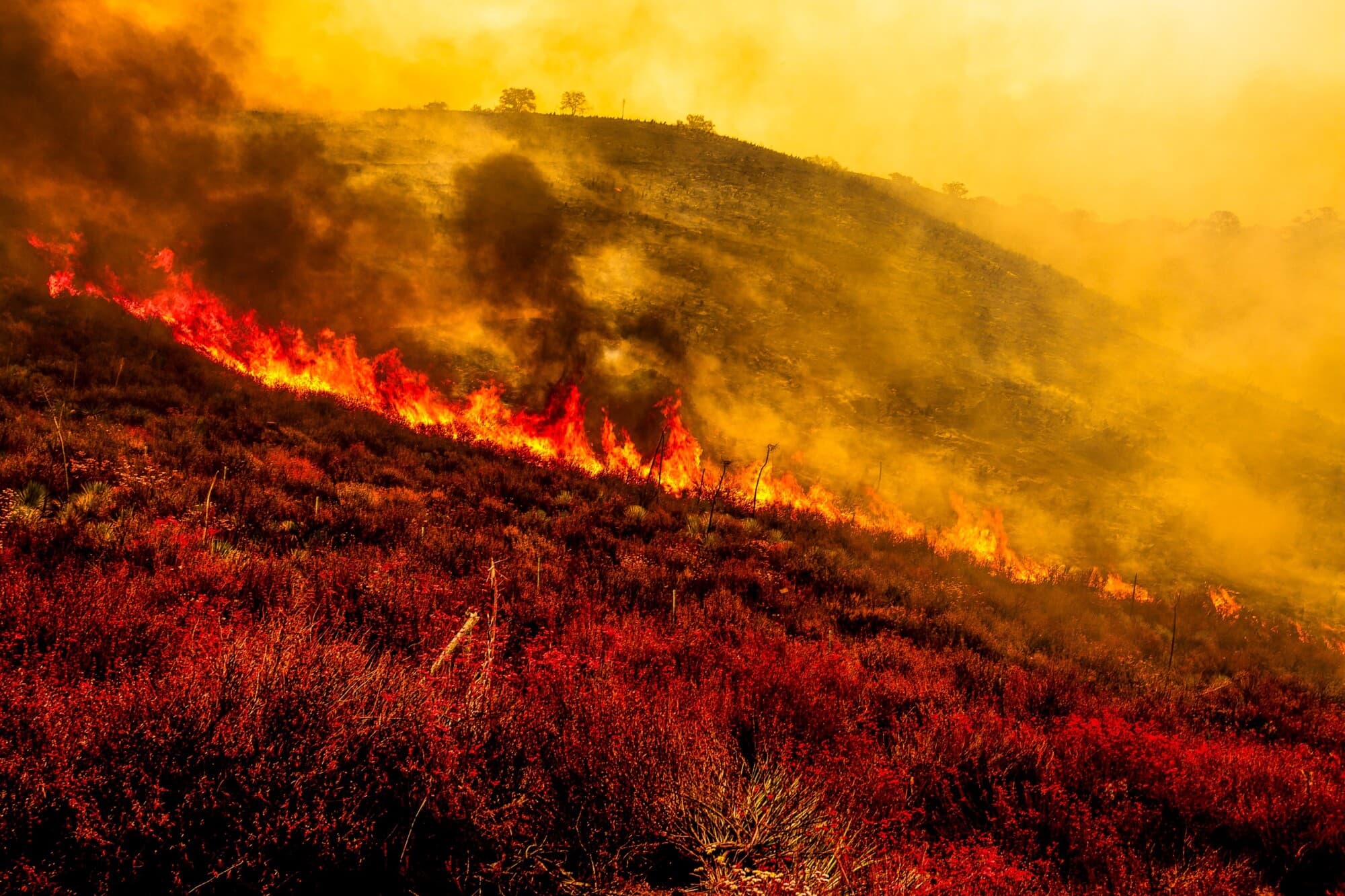 El incendio Gifford quema 30,000 acres en el Bosque Nacional Los Padres el 2 de agosto de 2025. (Benjamin Hanson/Middle East Images/AFP a través de Getty Images).