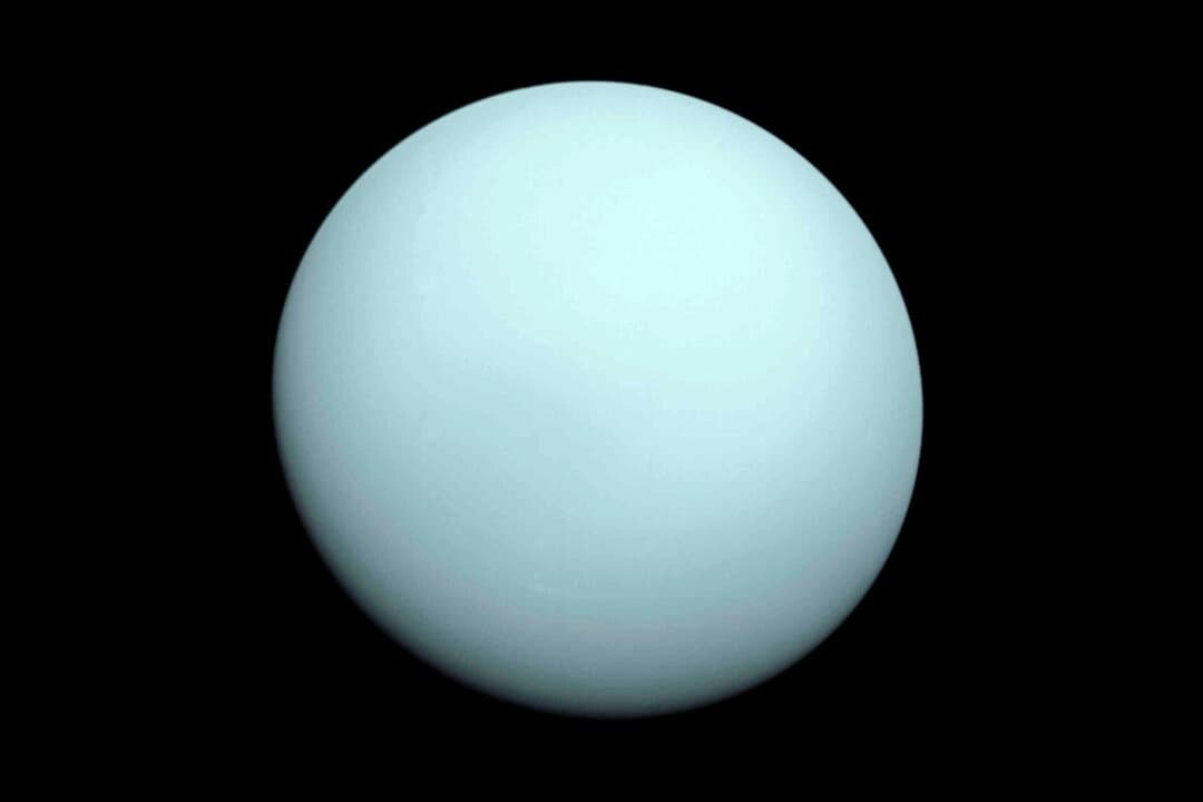 Telescopio Webb de la NASA descubre nueva luna diminuta alrededor de Urano