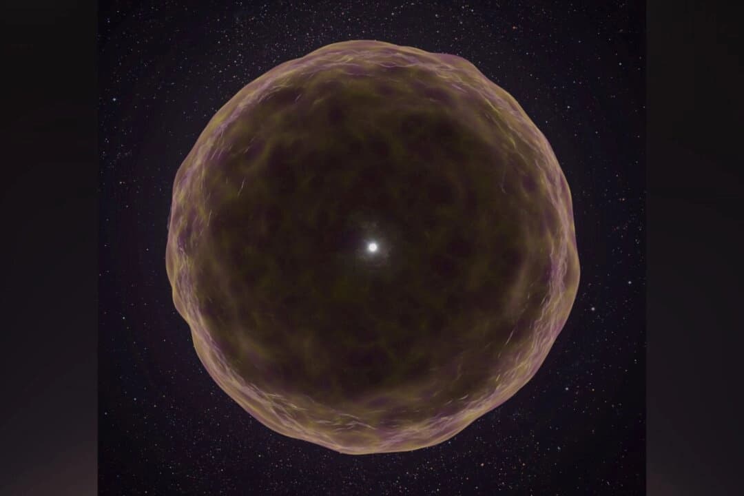 Científicos logran una rara visión del interior de una estrella en explosión
