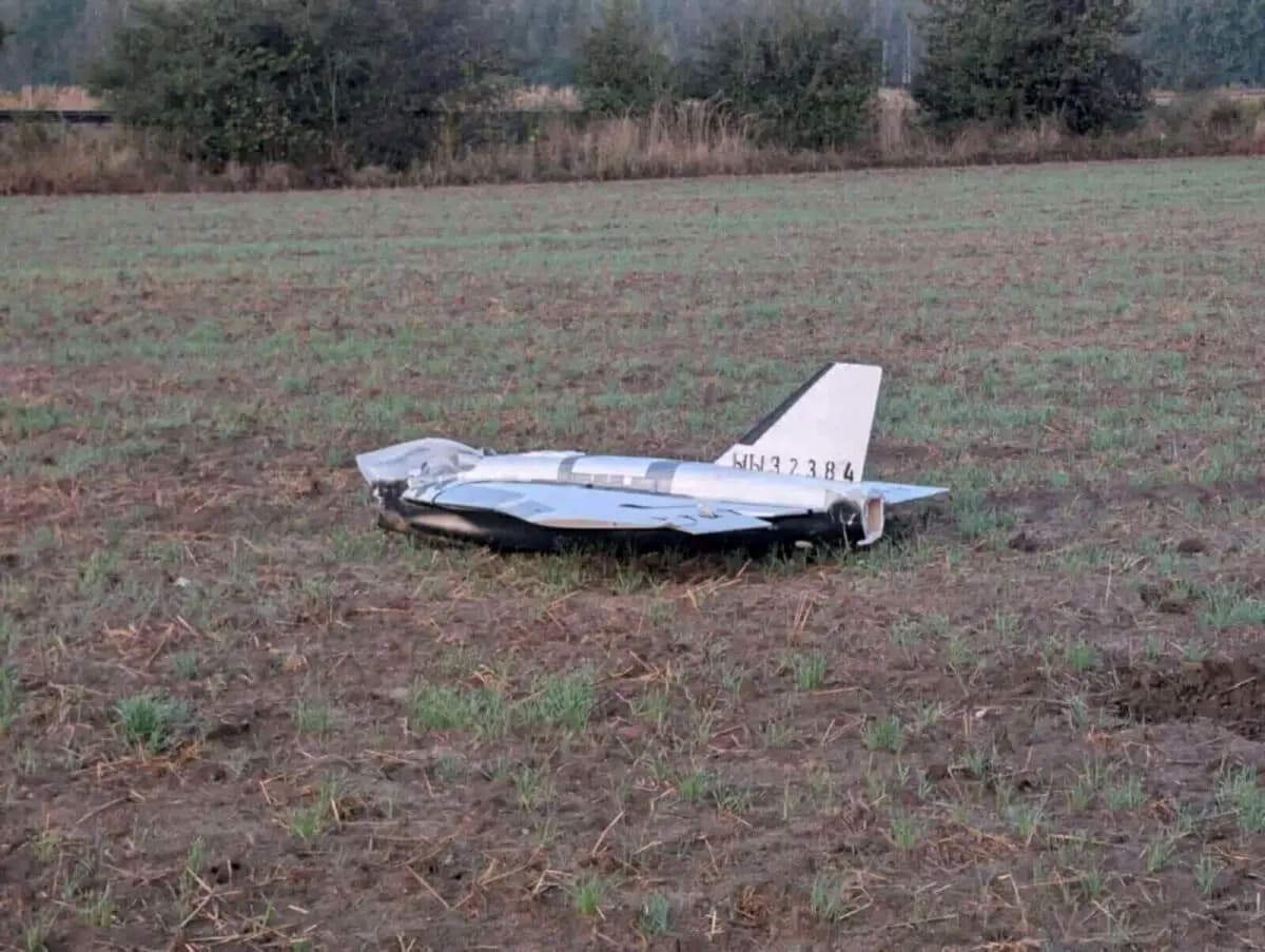 En esta foto obtenida de las redes sociales, un dron derribado yace en un campo en la aldea de Czosnowka, al este de Polonia, el 10 de septiembre de 2025. (Dariusz Stefaniuk vía Reuters)