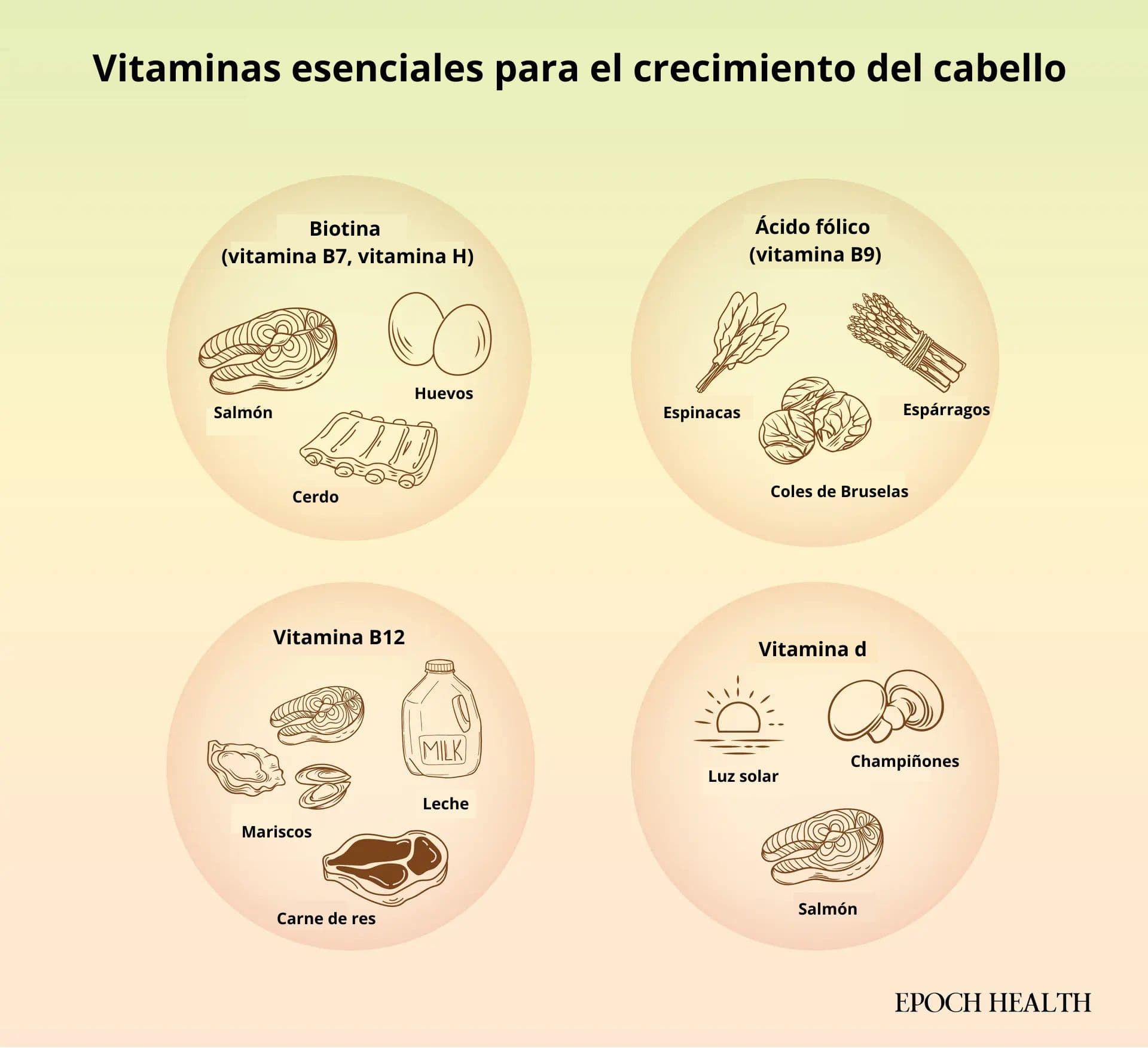 Vitaminas que favorecen el crecimiento del cabello y sus principales fuentes alimenticias. (Ilustración de The Epoch Times, Shutterstock)