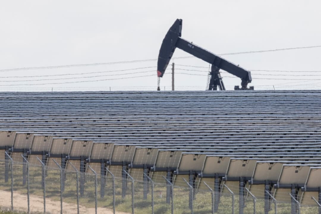 Los paneles solares ayudan a suministrar energía a un campo petrolero en Bakersfield, California, el 21 de marzo de 2025. (John Fredricks/The Epoch Times)
