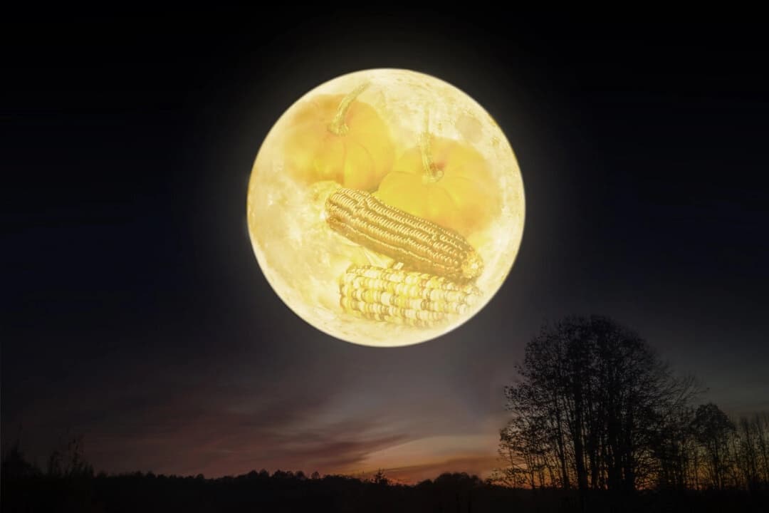 La "luna de la cosecha" de octubre será la superluna más grande de 2025