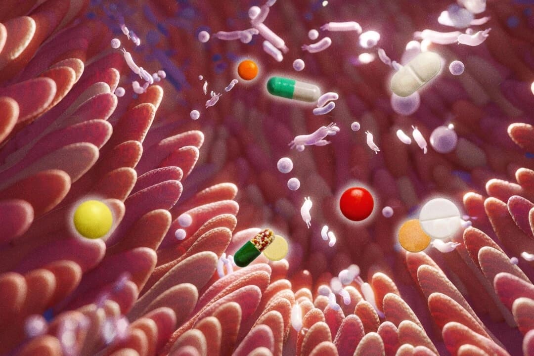 Siguen las investigaciones del efecto prolongado de los medicamentos. (Troyan/Shutterstock)
