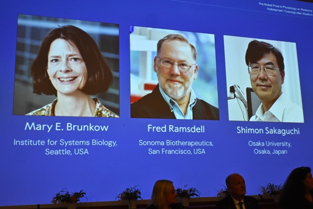 Pantalla en la que se muestran las fotos de Mary E. Brunkow, Fred Ramsdell y Shimon Sakaguchi, galardonados con el Premio Nobel de Medicina o Fisiología, en la Asamblea Nobel del Instituto Karolinska, en Estocolmo, Suecia, el lunes 6 de octubre de 2025. (Claudio Bresciani/Agencia de Noticias TT vía AP)
