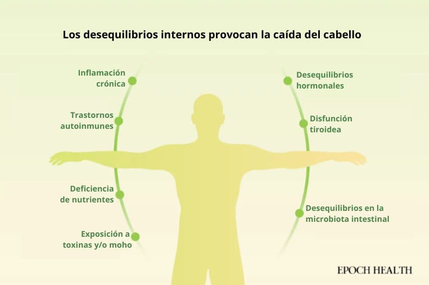 Desequilibrios comunes que podrían contribuir a la caída del cabello. (Ilustración de The Epoch Times, Shutterstock)