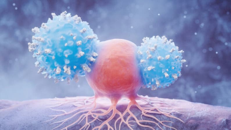 Nuevo tratamiento contra cáncer redujo los tumores en la mitad de los pacientes: ensayo clínico