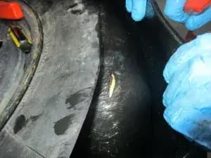 <em>Oficiales de Aduanas y Protección Fronteriza de EE. UU. inspeccionan compartimentos ocultos en el automóvil del sospechoso en el puerto de entrada de San Ysidro el 22 de octubre de 2025. (Aduanas y Protección Fronteriza de EE. UU.)</em>