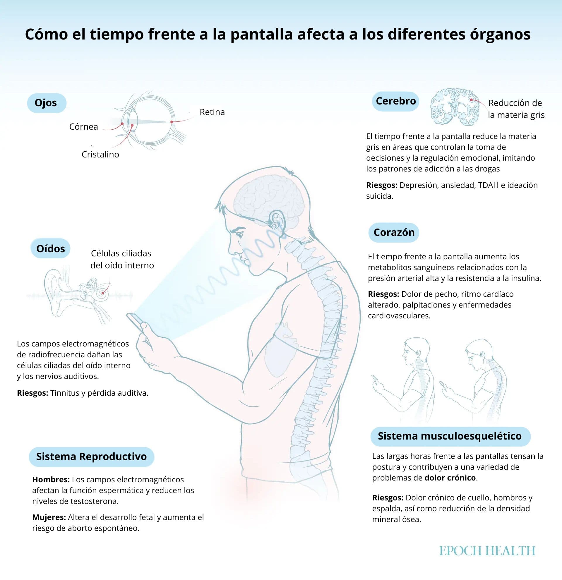 (Ilustración de The Epoch Times, Shutterstock)