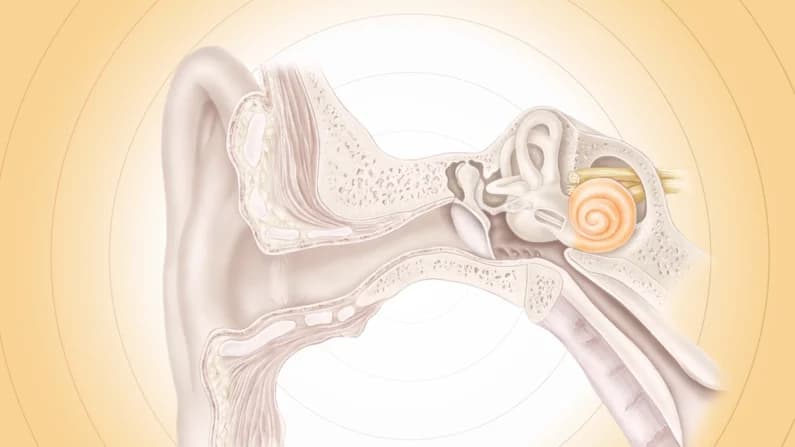 ¿Escucha zumbidos o pitidos que nadie más escucha? Podría ser Tinnitus y estas son las causas