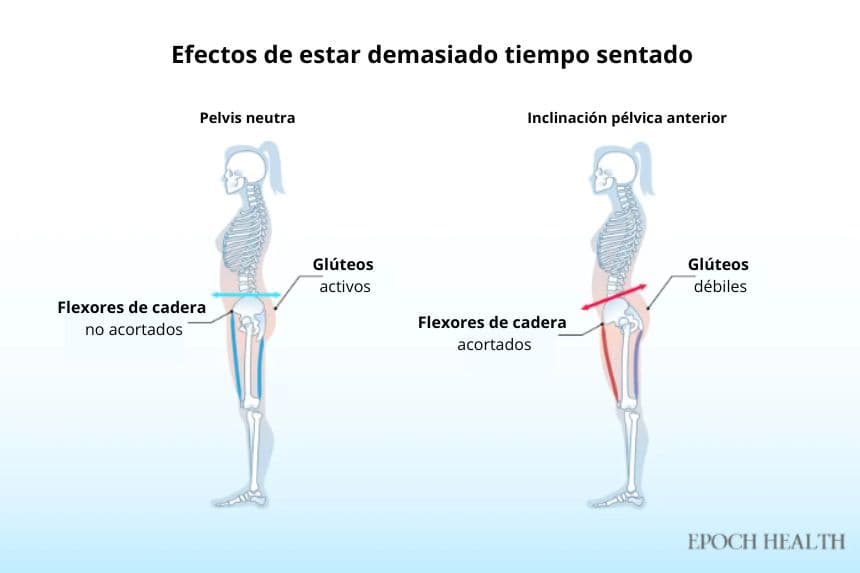 Efectos de pasar demasiado tiempo sentado. (The Epoch Times/Shutterstock)