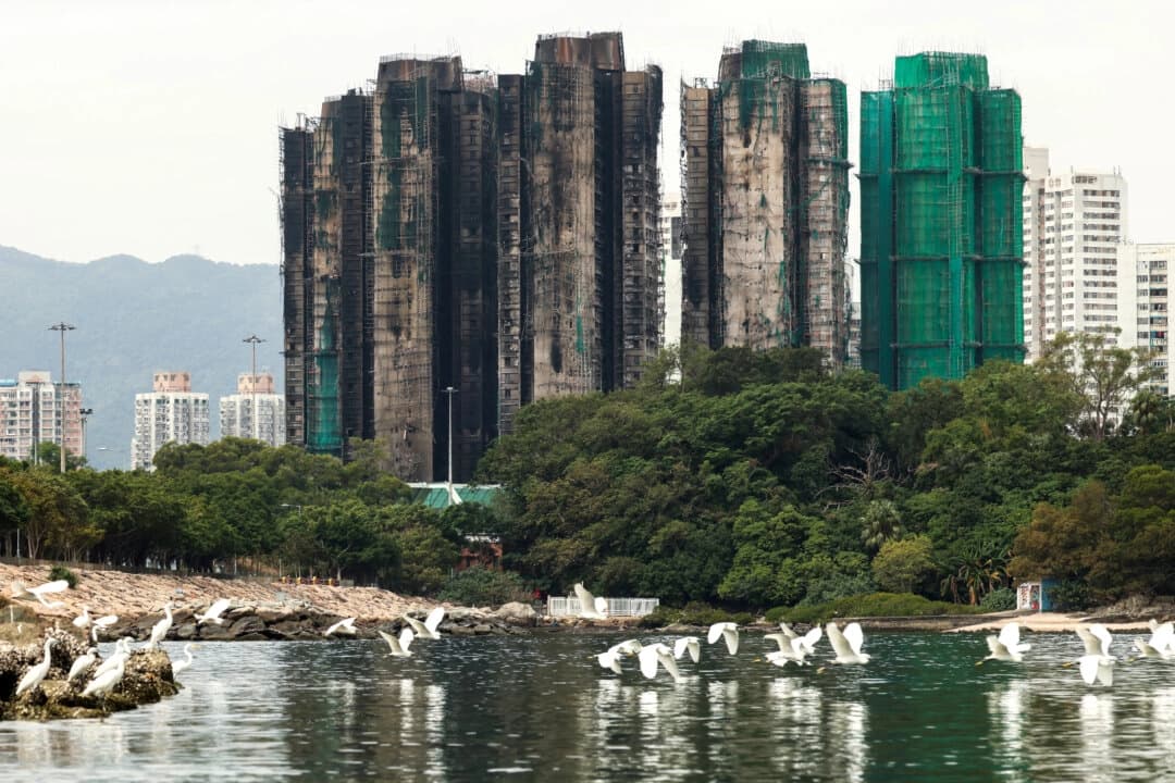 Pájaros vuelan junto a los edificios quemados del complejo de viviendas Wang Fuk Court después del incendio mortal, en Tai Po, Hong Kong, China, el 30 de noviembre de 2025. (REUTERS/Maxim Shemetov)