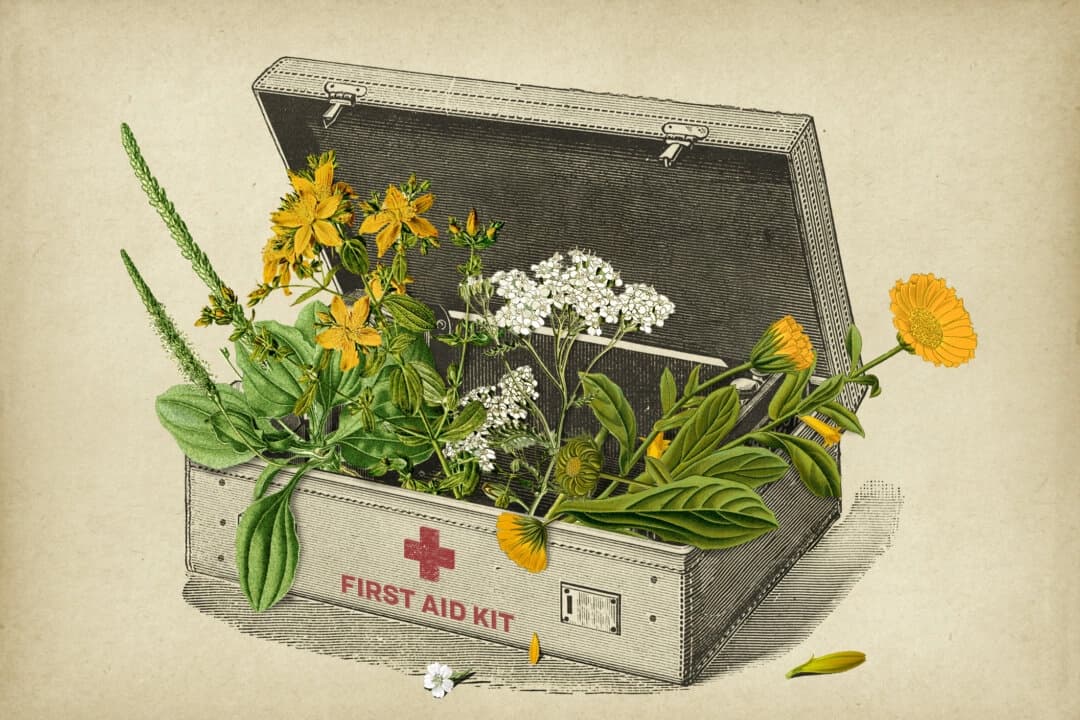 (Ilustración de The Epoch Times, Getty Images, dominio público)