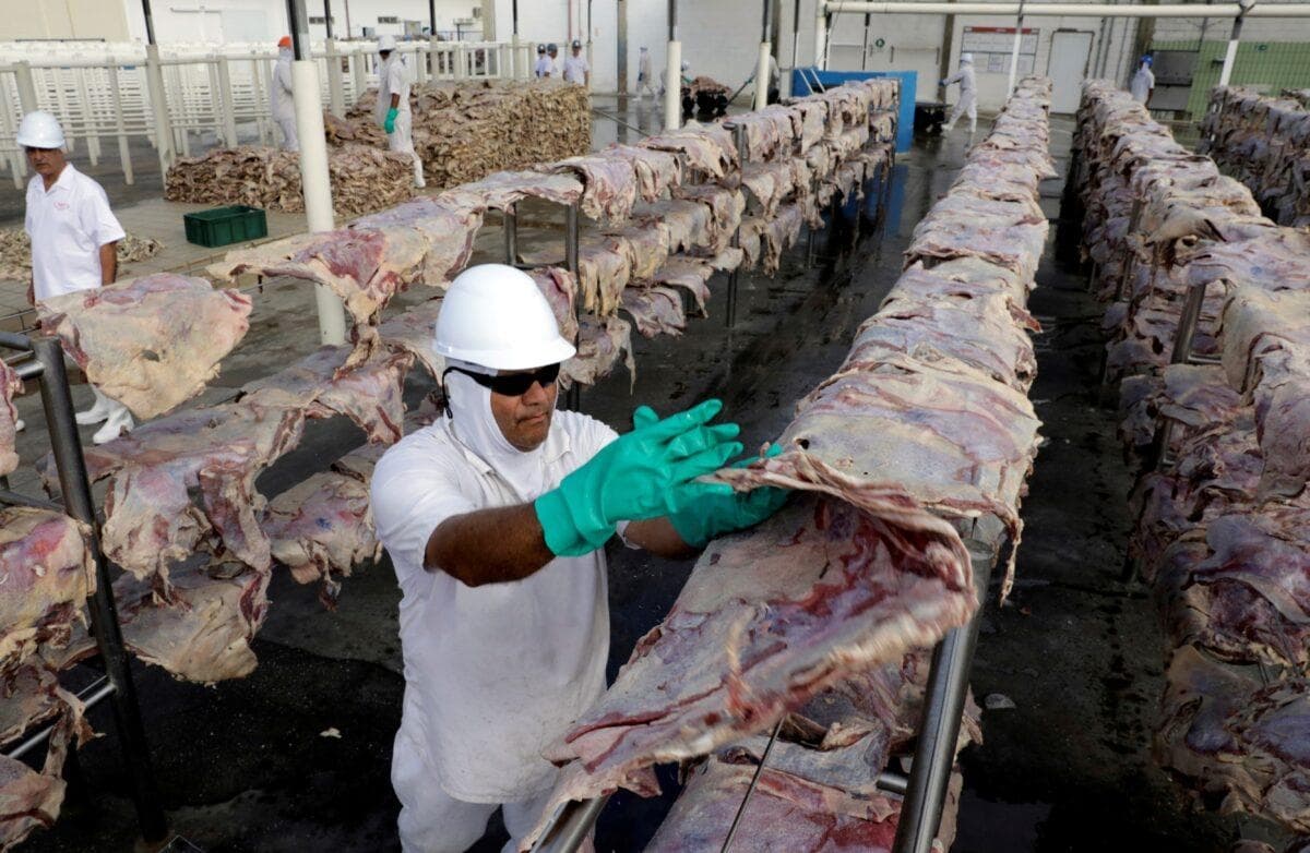 Un trabajador esparce carne salada, que se secará y luego se envasará en una planta de JBS SA, el mayor productor de carne de res del mundo, en Santana de Parnaiba, Brasil, el 19 de diciembre de 2017. (Paulo Whitaker/Reuters)