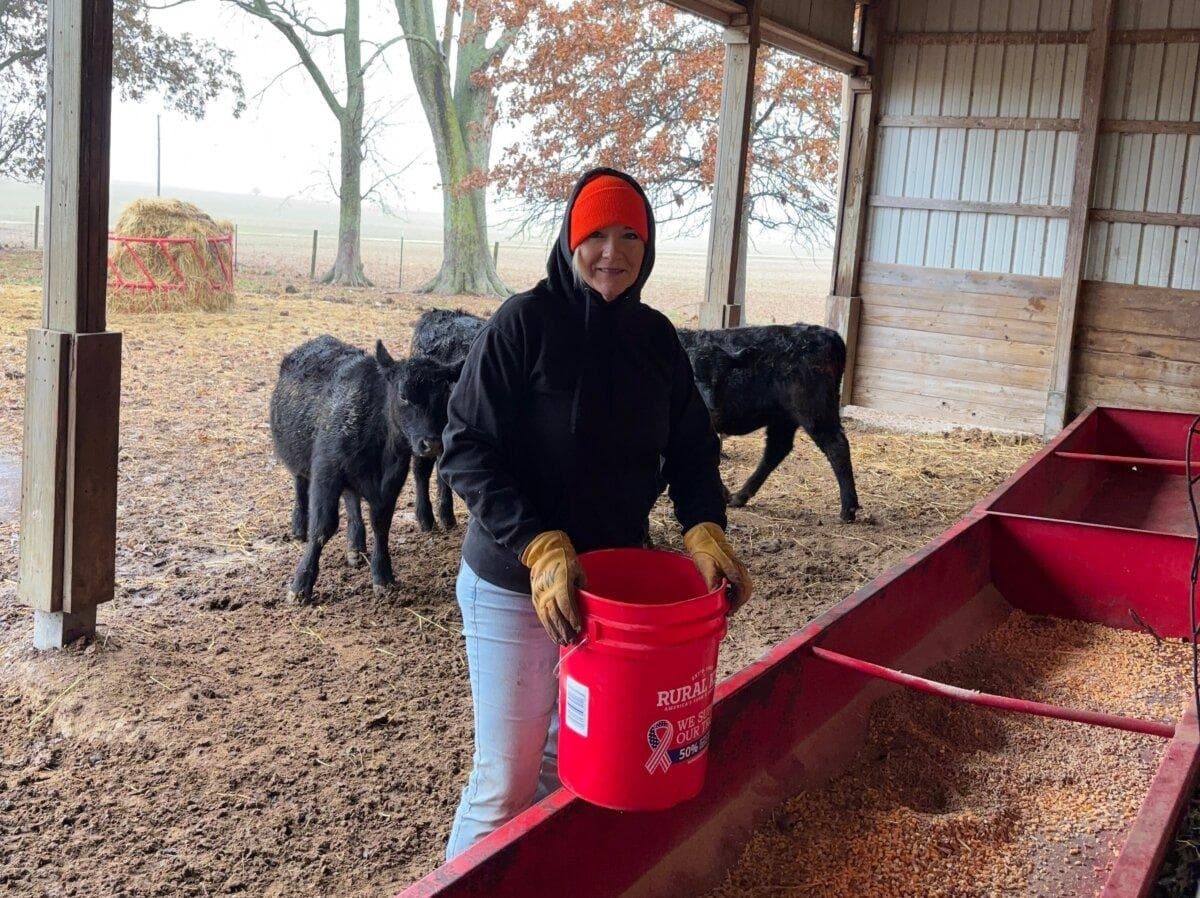 Heather Hampton-Knodle alimenta al ganado en su rancho de Illinois en 2025. (Cortesía de Heather Hampton-Knodle)