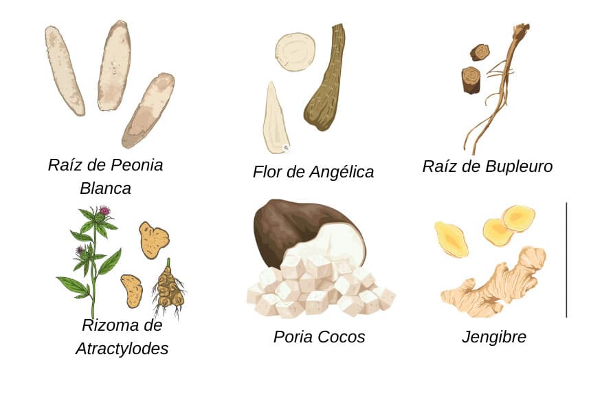 Imagen Ilustrativa: (The Epoch Times).