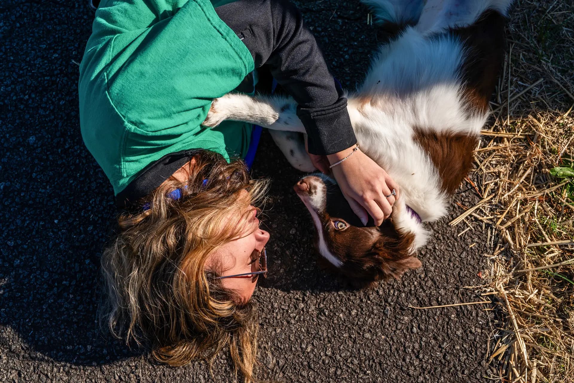 La voluntaria de Seuk’s Army, Katelynn Aldarondo, abraza a un perro de un refugio del sur saturado, que será trasladado en avión a un grupo de acogida y rescate más al norte, mientras yacen en el pavimento entre vuelos de conexión en el Aeropuerto Regional de Culpeper en Brandy Station, Virginia, el 23 de noviembre de 2025. Allison Robbert/AP Photo