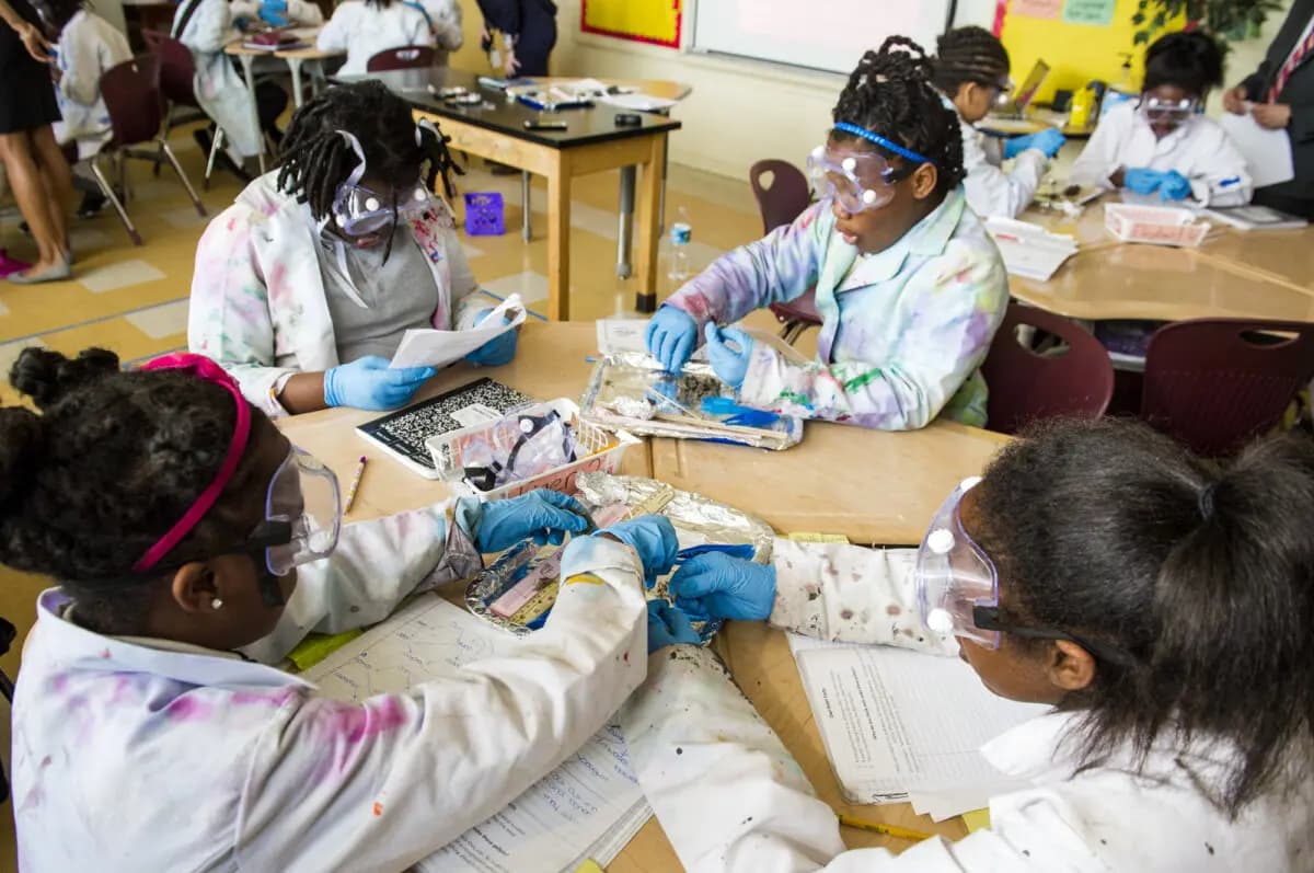 Aprendizaje práctico: alumnos de quinto grado diseccionan egagrópilas de búho en la Excel Academy Public Charter School de Washington el 5 de abril de 2017. (Saul Loeb/AFP a través de Getty Images)