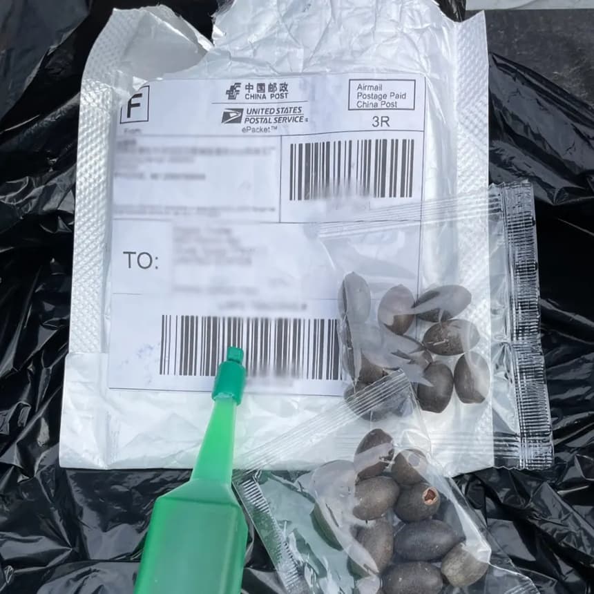 Un paquete no solicitado de semillas con una etiqueta de China Post, el servicio postal oficial del régimen chino. (Departamento de Agricultura de Texas)