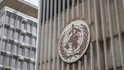 Riesgo de una nueva crisis sanitaria por la captura de la OMS en poder de China, dicen analistas