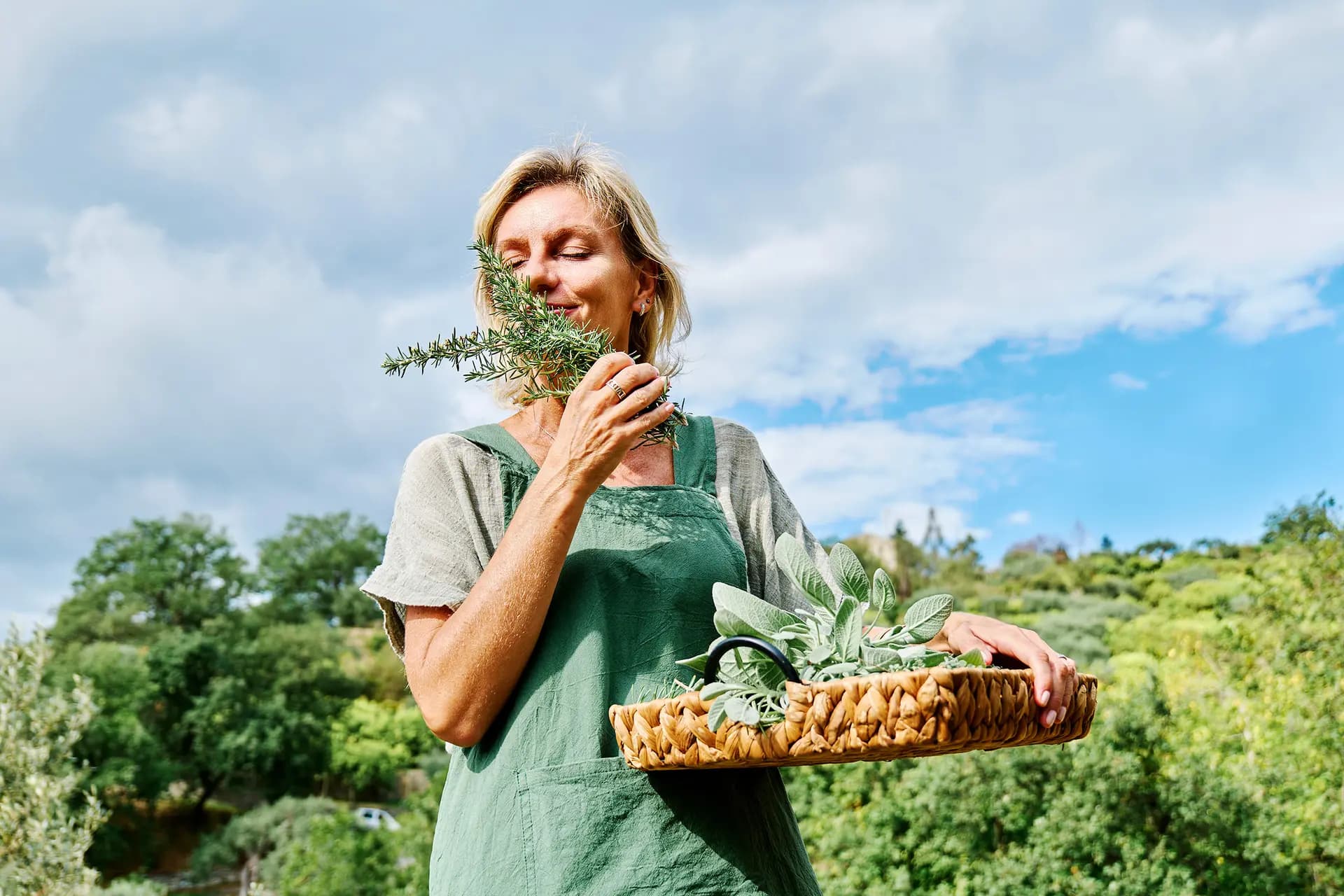Las hierbas pueden ser alimentos, medicinas o venenos. Las hierbas alimenticias son aquellas que comemos o añadimos a nuestros alimentos para mejorar el sabor, añadir un poco de picante o aumentar su valor nutricional. (Westend61/Getty Images)