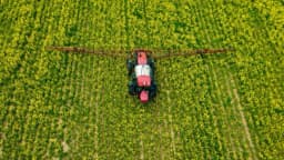 El argumento conservador a favor de la reforma de los pesticidas