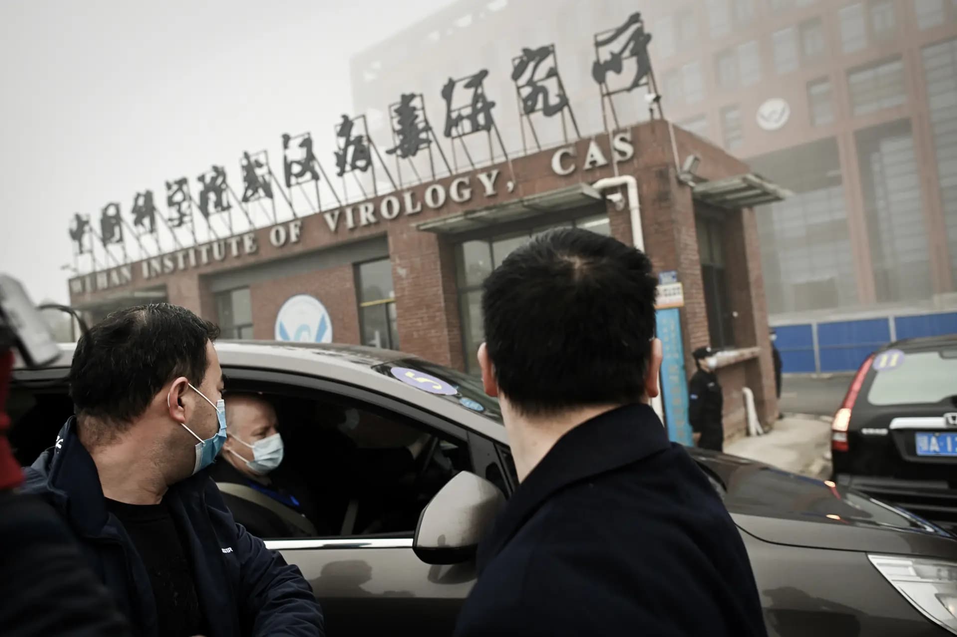 Miembros del equipo de la Organización Mundial de la Salud que investiga los orígenes del virus COVID-19 llegan en coche al Instituto de Virología de Wuhan, en la provincia de Hubei (China), el 3 de febrero de 2021. (Héctor Retamal/AFP a través de Getty Images)