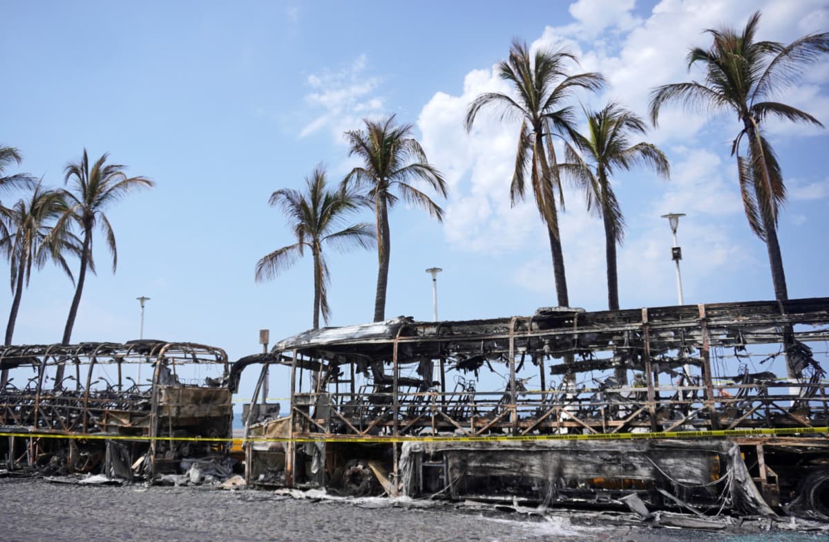 <em>Se observan autobuses calcinados en Puerto Vallarta, estado de Jalisco, México, el 23 de febrero de 2026. México ha desplegado 10,000 tropas para sofocar los enfrentamientos desatados por el abatimiento del narcotraficante más buscado del país, los cuales han dejado decenas de muertos, informaron las autoridades el 23 de febrero. (ARTURO MONTERO/AFP vía Getty Images)</em>