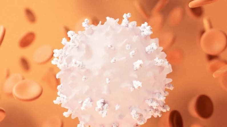 Linfocitos: Los guerreros contra el cáncer que tal vez estemos pasando por alto