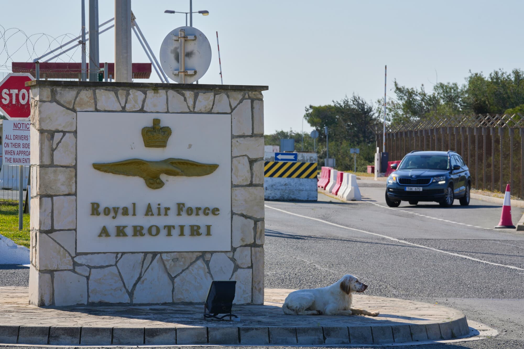 <em>Un perro se sienta en la puerta principal de la base aérea británica RAF Akrotiri después de que fuera alcanzada por un ataque con drones en la madrugada del lunes 2 de marzo de 2026 cerca de Limassol, Chipre. (AP Photo/Petros Karadjias)</em>