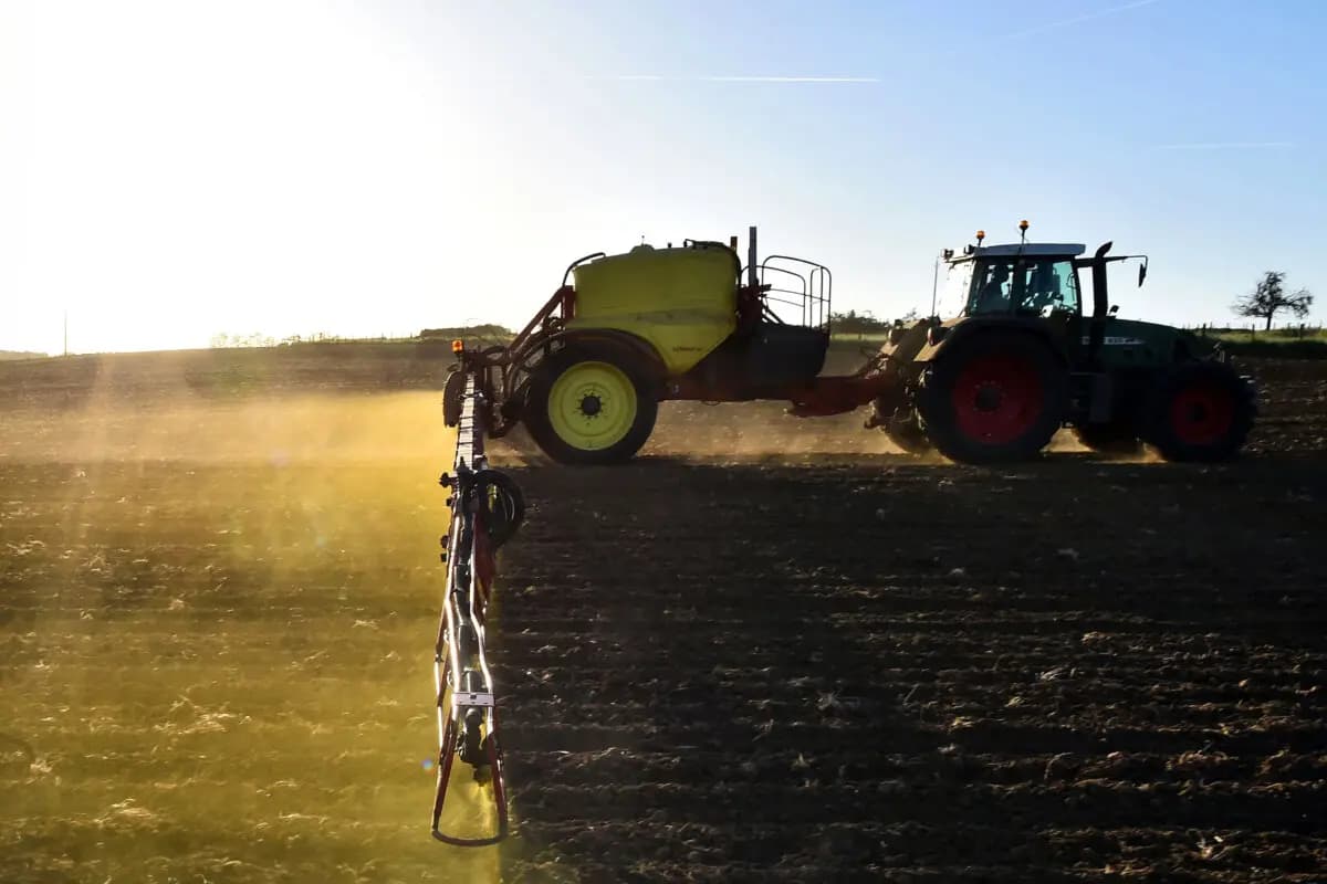 El Roundup (glifosato) se suele rociar en los campos antes de la producción para eliminar las malezas. Con las variedades de semillas Roundup Ready, el herbicida puede aplicarse a cultivos jóvenes para eliminar las malezas competidoras. (Jean-Francois Monier/AFP vía Getty Images)