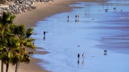 Advierten sobre altos niveles de bacterias en playas de Los Ángeles: autoridades
