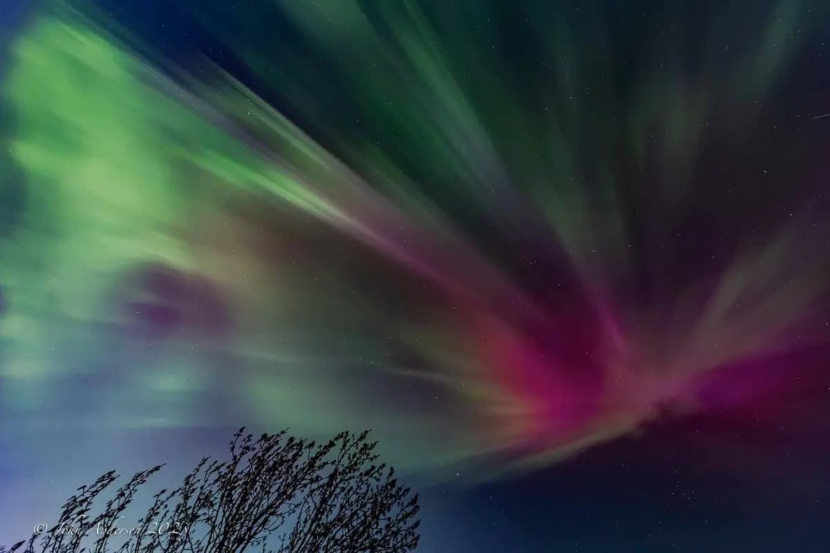 <em>Auroras verdes y rosas vistas sobre el sur de Alberta. (Cortesía de John Andersen).</em>