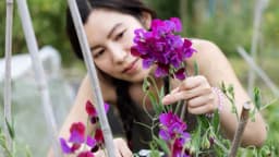 "Una vida de la que no necesitas escapar": Los orígenes del movimiento "Slow Living" de la Generación Z